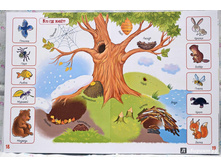 ��������� ����������� ��� �������,2.jpg