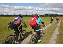 2017.09.24 12-17-53 (P1700130).JPG