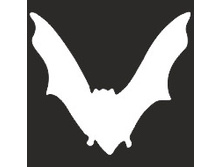 �1847 �������� ������ ����� ������� ������� ���� №1 (50�50) ���� ������� (���� 1��) ���� 28 ���..jpg