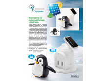����������� �� ��������� ������� «�������» (Penguin Life Solar Kit) - 332 ���..jpg