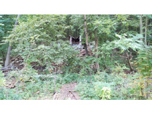 IMG 20170924 131342.jpg