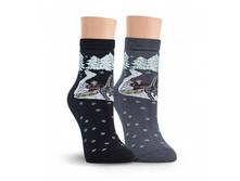 LORENZ ����� ���. �10 ����.