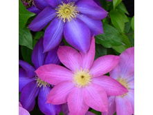 �������� ��������������� ������� (V2�.).jpg