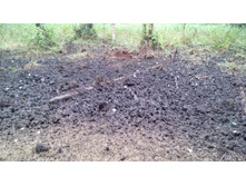 IMG 20170930 105620.jpg