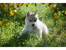 ������№2