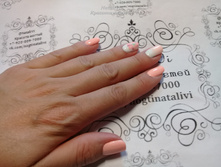 ������� ������ NVi 12.JPG