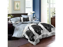 ������ �������.jpg