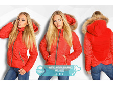 1588 ��� S/M/L/XL/2XL