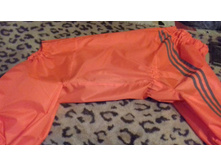 ����� 1.jpg