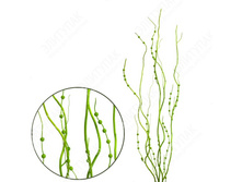 8076 ������ � �������� 8 �� (������-��̣���) 281� — �����.jpg