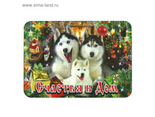 ������ ���������� «������ ����», ���� 10��� �� 18��