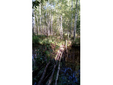 IMG 20170901 104419.jpg