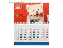 ��������� �����������, ���� "������ ���� - 2018 ���" 20�24�� 14,9��� �� 12��