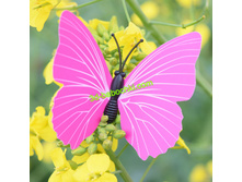 .���������� ���. ����7.jpg