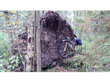 IMG 20170930 125117.jpg