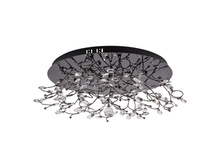 360011312 5500�.jpg