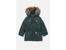 20110130115   Rolando   �����-�������(���).jpg