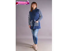 �0027, 690���, 42-56��.