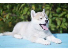 ������№2