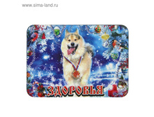 ������ ���������� «������ ����», ���� 10��� �� 18��