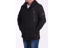 1881 ������, 1950 p.