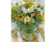 ���������� 38�48 Ag 383.jpg