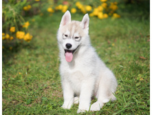 ������№1