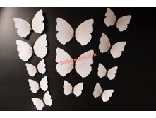 .���������� ���. ����.jpg