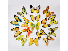 ������������ 4 ������.jpg