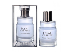 ���\�������: ECLAT D'ARPEGE POUR HOMME ECLAT D'ARPEGE POUR HOMME 390 ���.