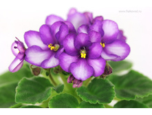 ��-������ ����