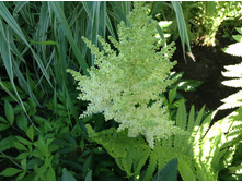 �������� ���� ������.