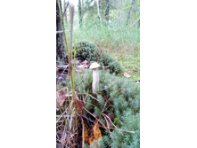 IMG 20170909 115414.jpg