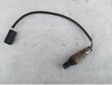 IMG 20170924 091552.jpg