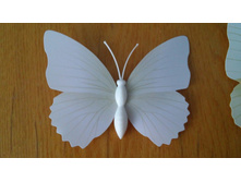 .���. ����3.jpg