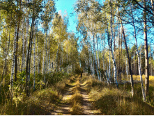 P 20170923 104526 HDR.jpg