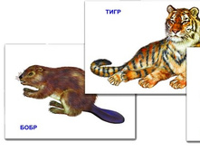 ������ ���������������� �������� ����� �������� 2 - 118,18 ���