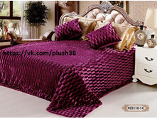 Ps1271 349336 ���� ���������, �����-��������.jpg