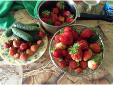 ������ ������ ... � ������ ����. 2017 ���