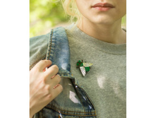 ����� ���� ����������