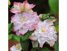 �������� ��������������� �������� ���� (V2�.).jpg