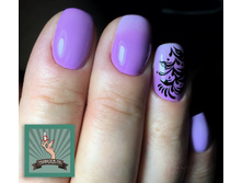 ���������� �������. ������ ������.jpg