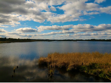 P 20170924 134238.jpg