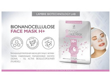 ������������������ ����� ��� ���� LAMBRE