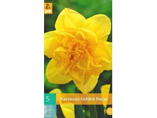 306.060, ������� (Narcissus) Golden Ducat, 5 �� � ��������, 160���+18%, 1��.jpg