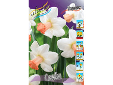 16,94���. ������� �����(�������� ���� �� 10 ��., ����������� ����� 5��.)���16 �������� 5 ��..jpg