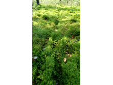 IMG 20170901 114910.jpg