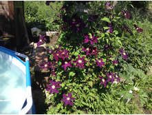 �������� �������.