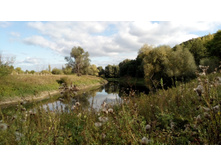 IMG 20170924 134720.jpg