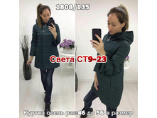75.jpg------------13/50